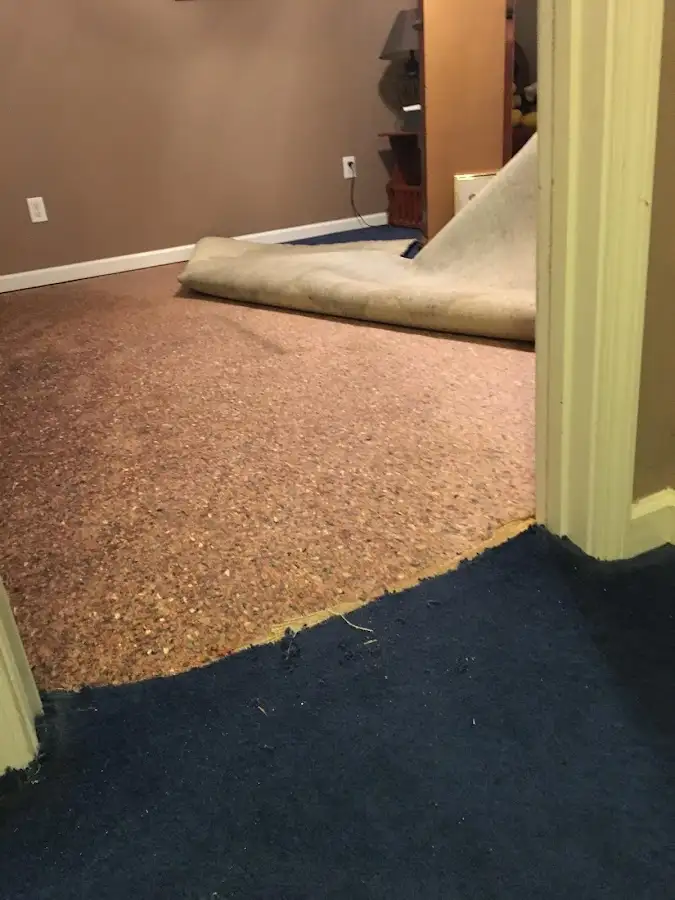 Carpet pad removal revealing water damage during Water Mitigation Services in Coral Gables