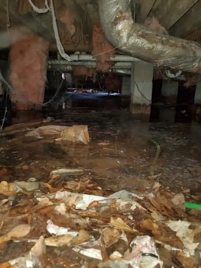 Crawl space flood assessment for Leak Detection & Repair in Coral Gables